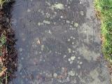 image of grave number 433278